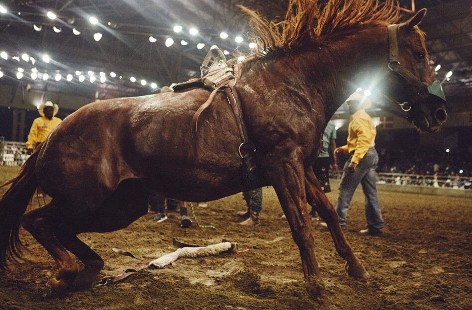 被遗忘的美国黑人牛仔：为保存遗产而战斗