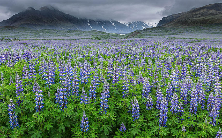 镜头下冰岛美轮美奂的极致景象