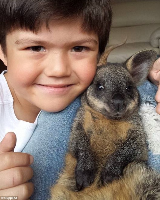 五岁儿童和他的动物朋友