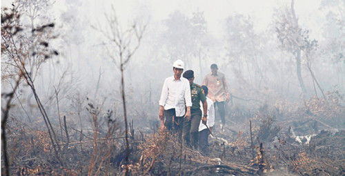 印尼山火灾情恶化动员上千名军人对抗森林大火