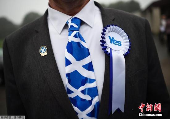 资料图:苏格兰2014年公投日,一名男子特意佩戴了苏格兰圣安德烈十字旗图案的领带。