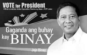 副总统杰约马尔&middot;比奈