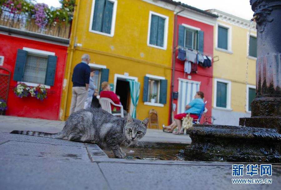 （新华网）（7）彩色小岛布拉诺