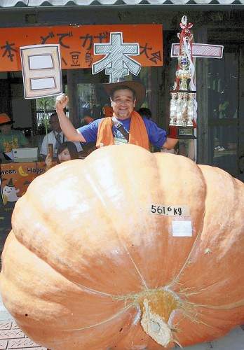 此次夺冠的巨型南瓜。