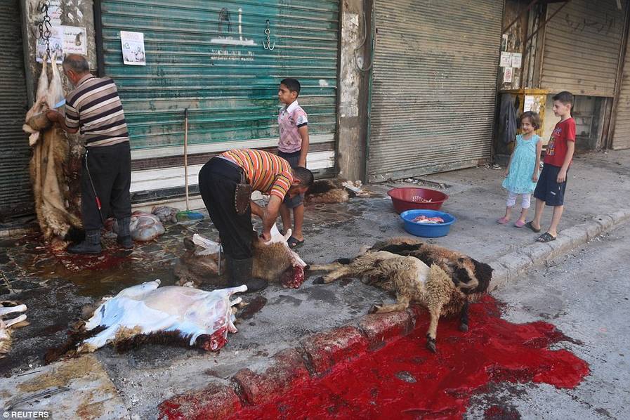 宰牲节现场：在孩子面前杀死那些动物