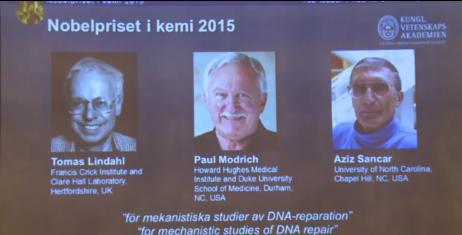 英美3人因 dna修复的机制研究 获诺贝尔化学奖 新华网