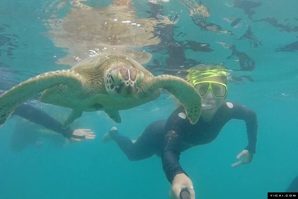 21岁克罗地亚女孩晒旅行照挣钱