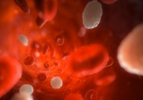 资料图:血液中的癌细胞。