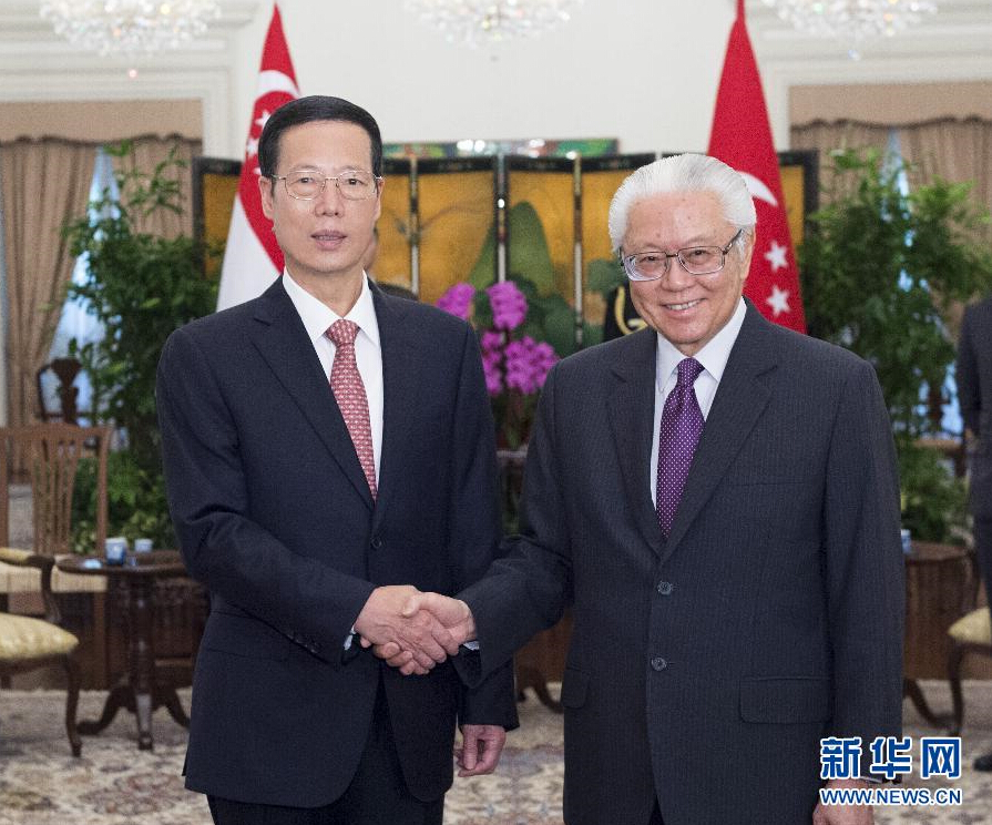 10月13日，中共中央政治局常委、国务院副总理张高丽在新加坡会见新加坡总统陈庆炎。 新华社记者王晔摄