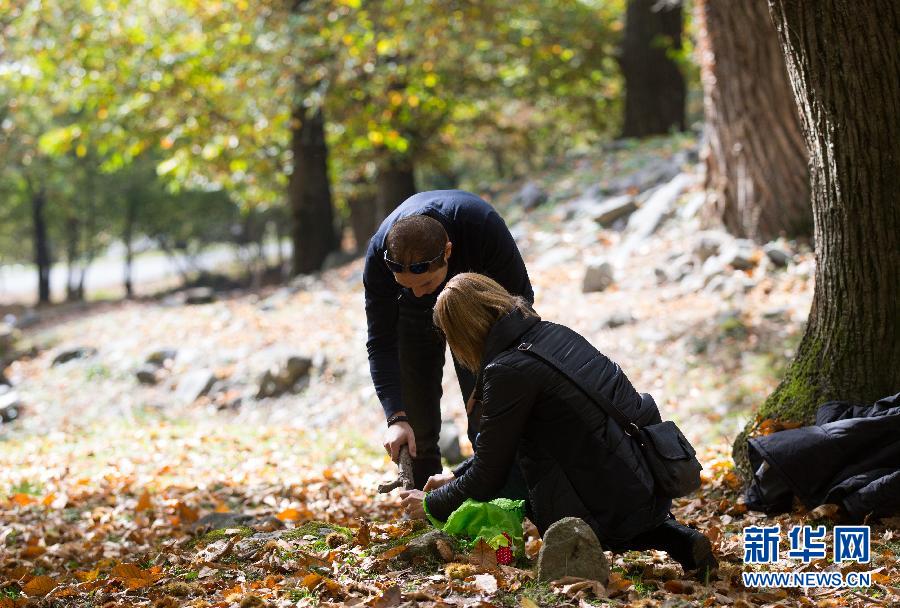 （国际）（2）瑞士菲利小镇的&ldquo;栗子节&rdquo;