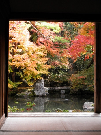 可以在欣赏历史遗迹的同时，尽情领略极富禅意的红叶美景。