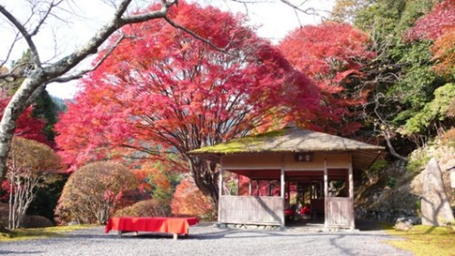 古时的日本人就很喜欢在山间、峡谷等处欣赏红叶美景