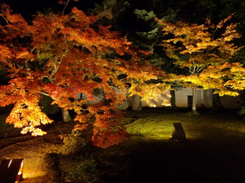 构成了一幅绝美的&ldquo;秋之画卷&rdquo;