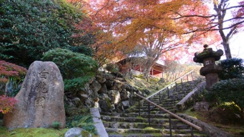 京都，就是其中的极好代表。