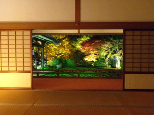 在日本庭园中观赏红叶会体验到一种别样的&ldquo;精炼之美&rdquo;。