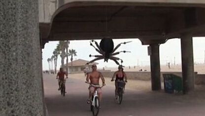 城会玩！妹子偶遇巨型蜘蛛吓尿 壮男扭头就跑