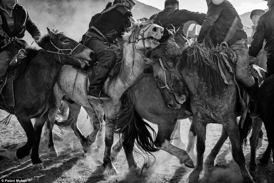 纪实哈萨克斯坦最后一批金雕牧民