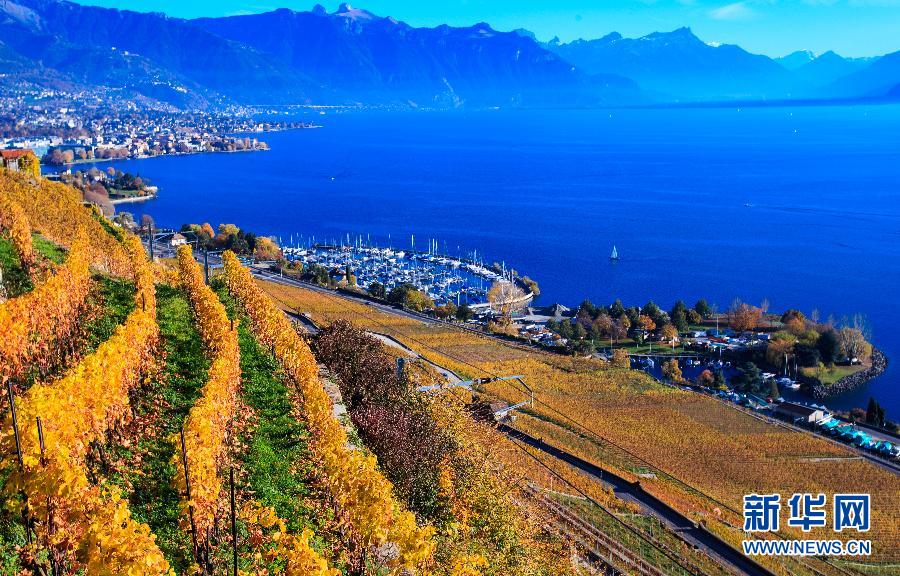 （国际）（1）瑞士拉沃之秋