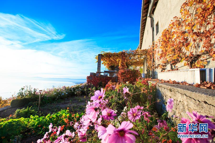 （国际）（5）瑞士拉沃之秋