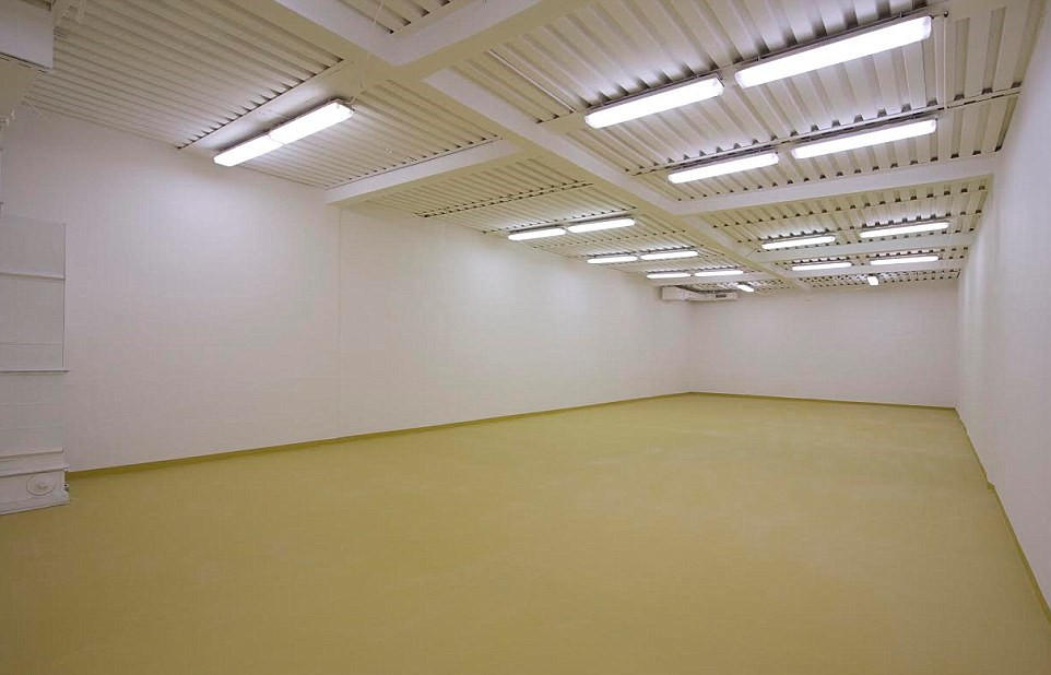 亿万富翁末日避难所藏身捷克山区 配备影院花园