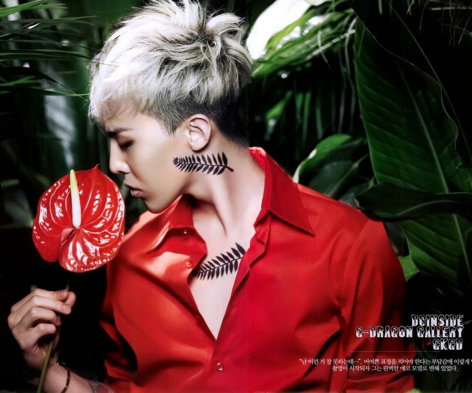 权志龙鹿晗吴亦凡exo世勋Kai 中韩明星彩虹发色帅翻天【组图】