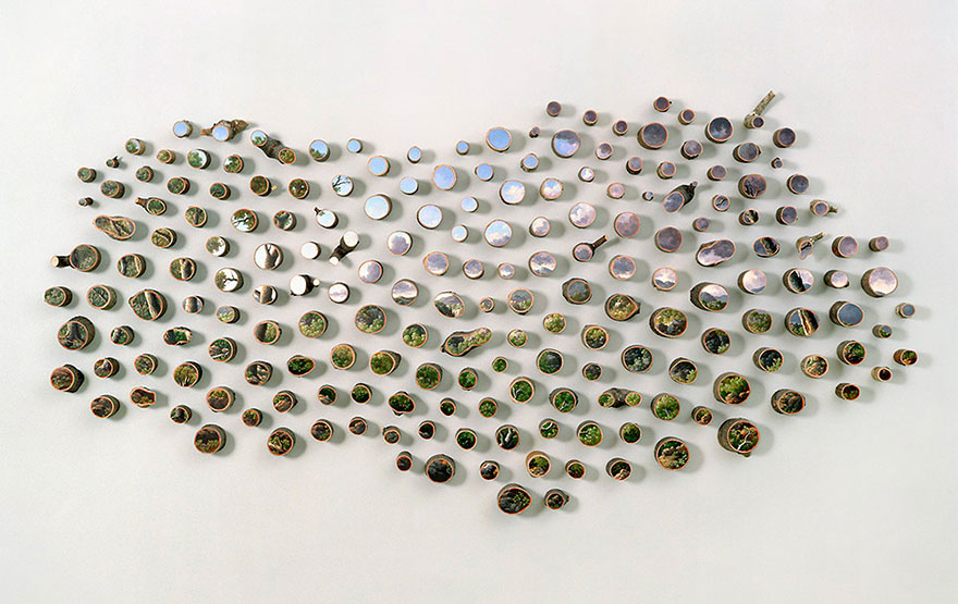 原木横截面上的大自然（组图）