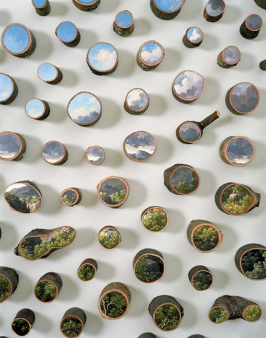 原木横截面上的大自然（组图）