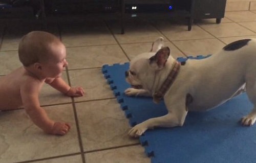  Rupert一心一意想逗宝宝开心。