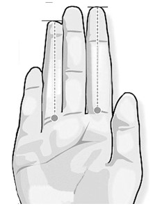 韩研究称生儿生女与母亲食指无名指长度差距有关