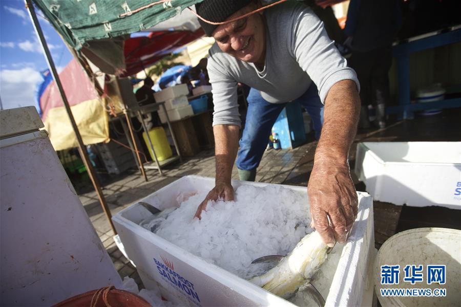 （国际）（1）马耳他的&ldquo;星期天鱼市&rdquo;