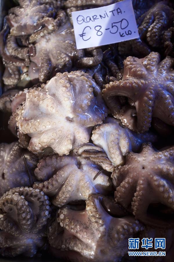 （国际）（2）马耳他的&ldquo;星期天鱼市&rdquo;