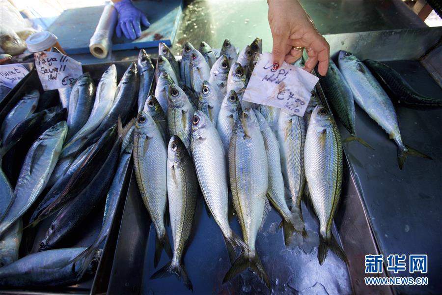 （国际）（3）马耳他的&ldquo;星期天鱼市&rdquo;