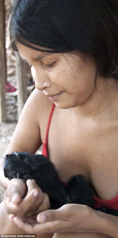 与动物共生的部落：女人用母乳喂养