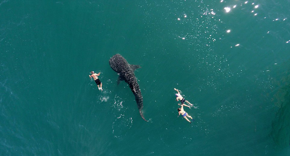 网友航拍摄影作品展现全球壮观美景