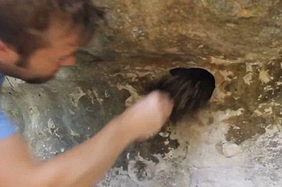 密集恐惧症者慎入：男子岩洞掏出上千蜘蛛引惊叫（图）