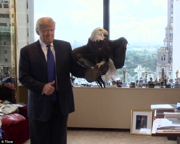 特朗普拍《时代》封面 惨遭美国国鸟攻击