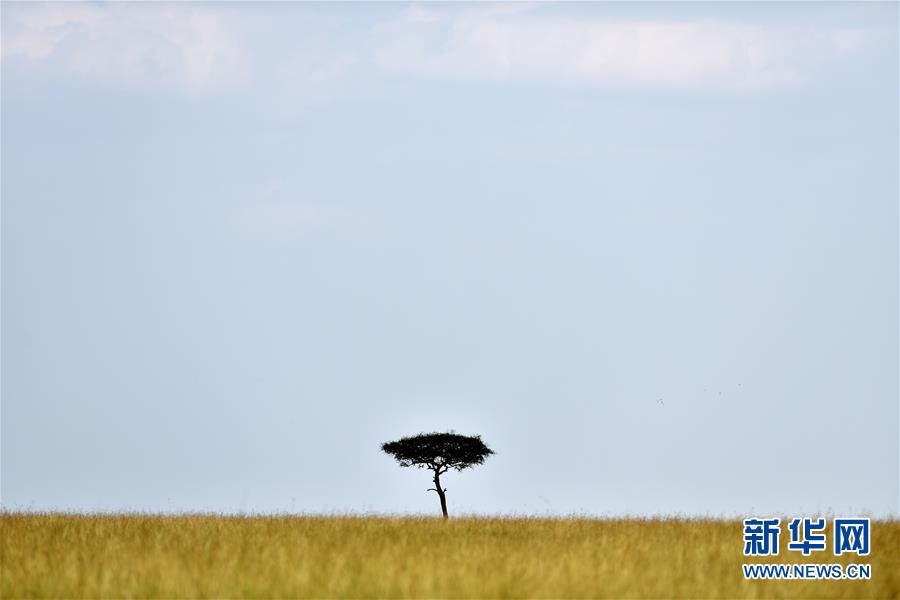 (国际)(1)东非草原故事