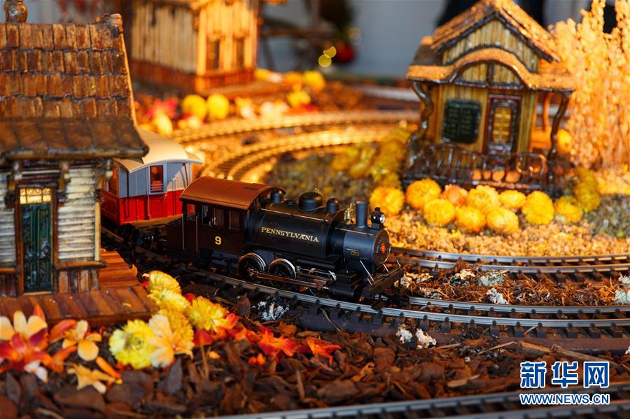 （国际）（3）纽约植物园2015年节日小火车展