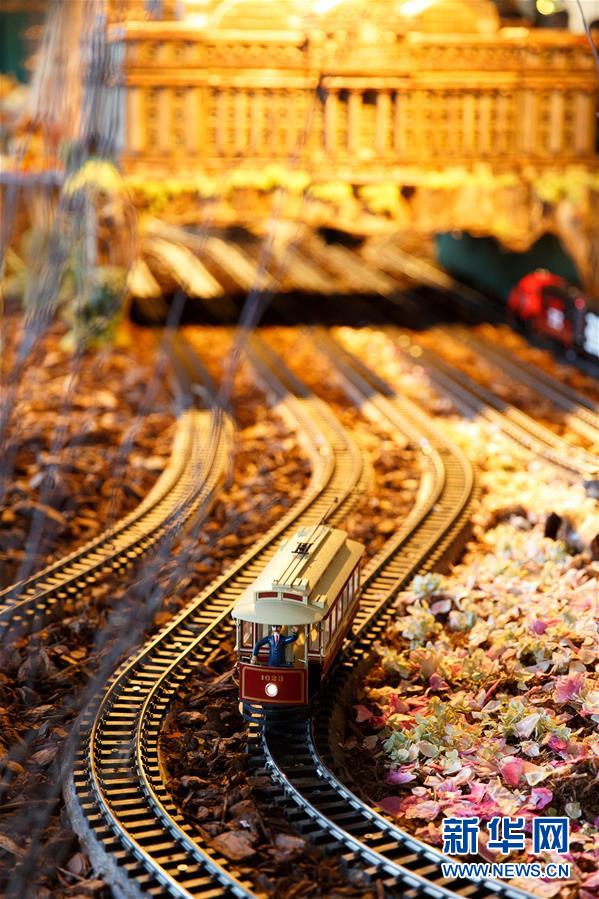 （国际）（5）纽约植物园2015年节日小火车展