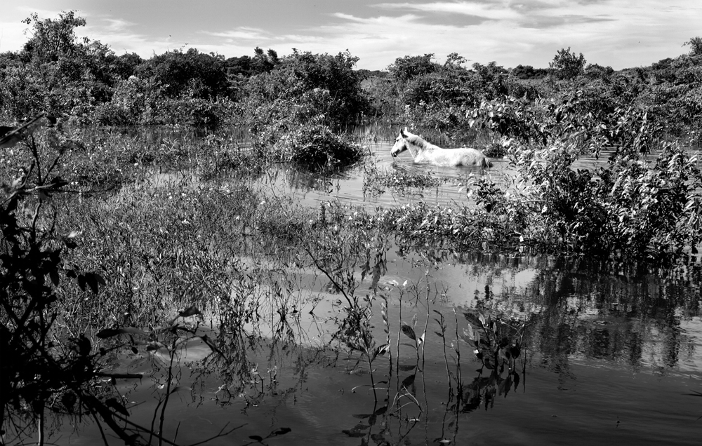 地球之殇：超震撼图片透视环境污染