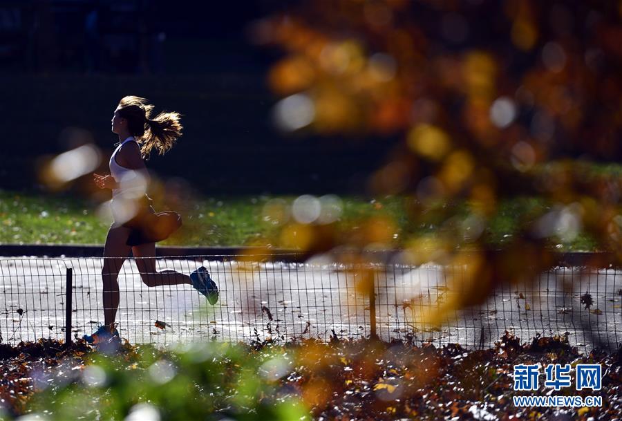 （國際）（3）紐約迎來罕見暖冬