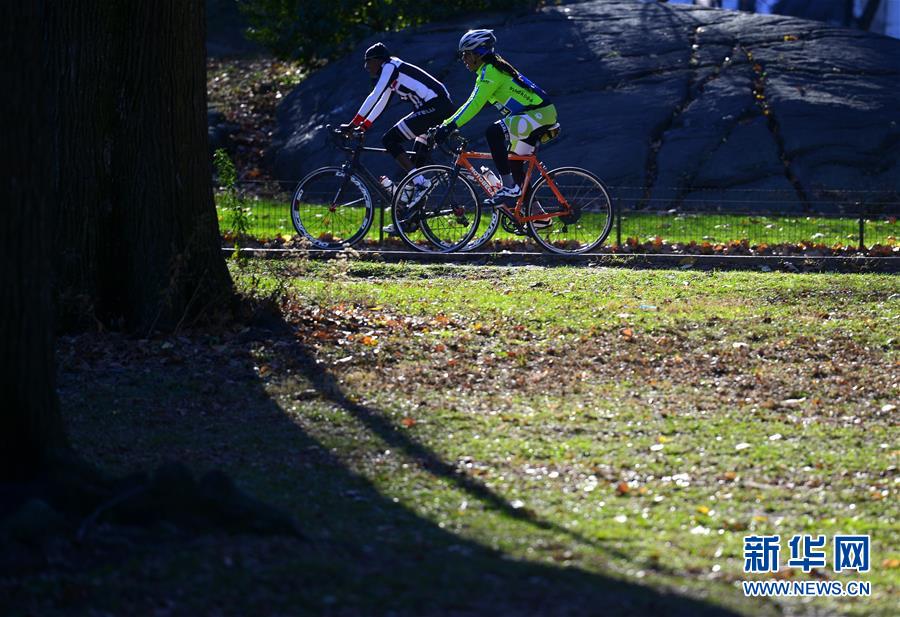 （國際）（4）紐約迎來罕見暖冬