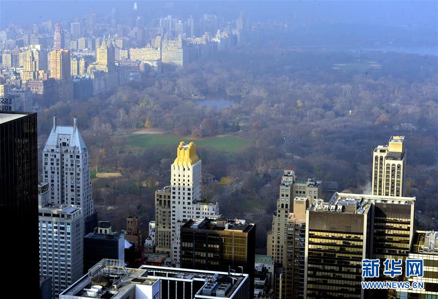 （國際）（5）紐約迎來罕見暖冬