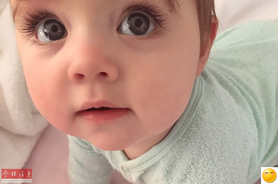 盘点2015年现实版表情包(高清组图)