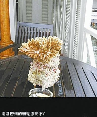 旅游不文明行为