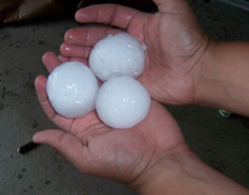 悉尼遭罕见龙卷风暴吹袭冰雹大如高尔夫球（图）