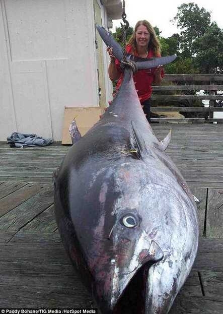 渔民捕获鱼中鱼 盘点人类捕获的&ldquo;鱼王&rdquo;们