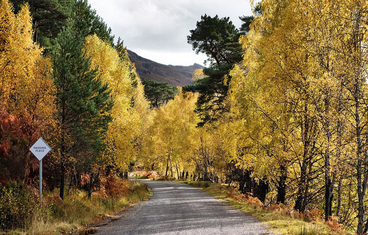 苏格兰四季风景美不胜收令人惊叹【组图】