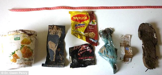 5.7米搁浅鲸鱼胃里塞满人造垃圾