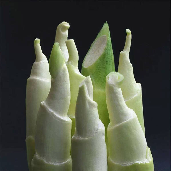 德国人1985年拍摄的《舌尖上的中国》